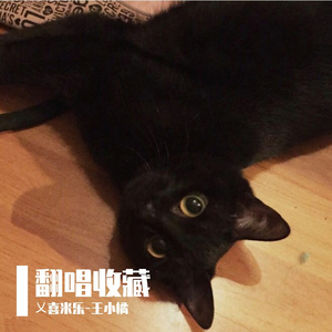 恋与深空（唯美女声版）