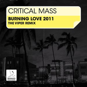 Burnin' Love (The Viper Remix)