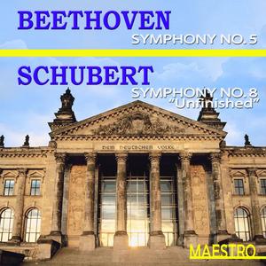 Symphony No. 5 In C Minor ("Fate"), Op. 67, Allegro Con Brio