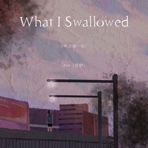 What I Swallowed（咽下那一切）