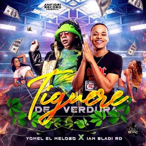 Tiguere de Verdura (feat. Yomel El Meloso)