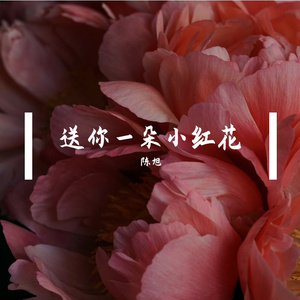 送你一朵小红花