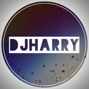 Fun(DJHarry Remix)