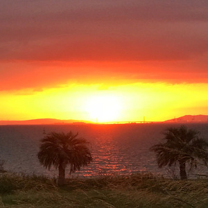 その一言がいえなくて