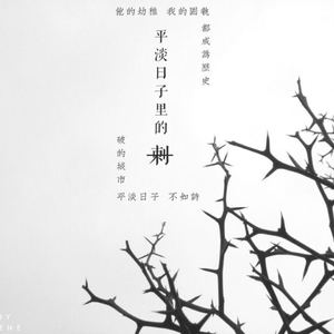 平淡日子里的刺cover