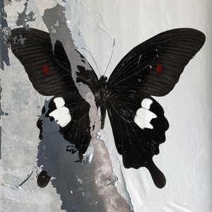 Gods Zoo (These Times)