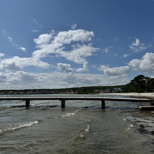 Ska du inte var kvar