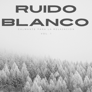 Sueño Consciente