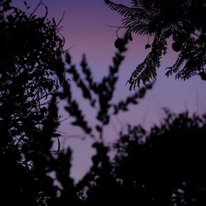 除了阴阳“前辈”以外真没别的意思( PROD BY GOAT CREW)