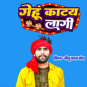 गेहूं काटय लागीं