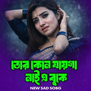 তোর কোনো যায়গা নাই এ বুকে