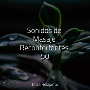 Serenidad Espolvoreante