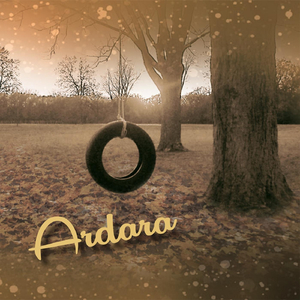 Tire Swing