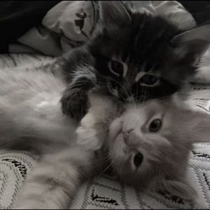 “微醺”SASIOVERLXRD x SadPiano Type Beat