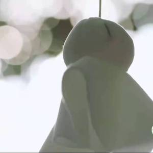 一笑倾城完整版