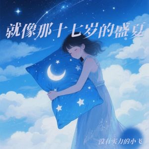 就像那十七岁的盛夏