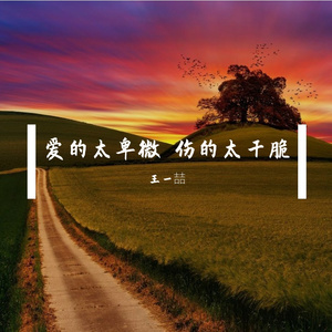 爱的太卑微 伤的太干脆