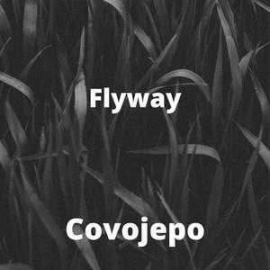 Flyway