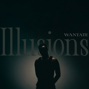 illusions