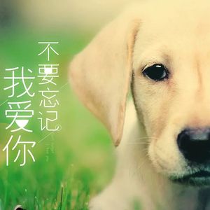 不要忘记我爱你