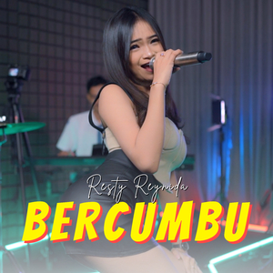 Bercumbu