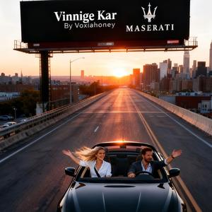 Vinnige Kar