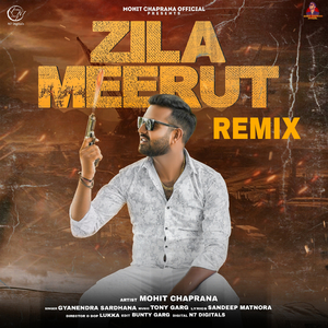 Zila Meerut (Remix)