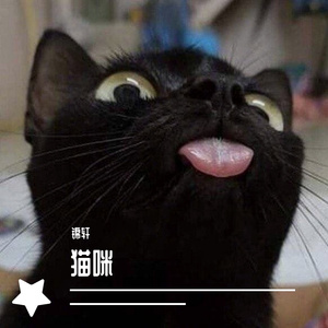 猫咪