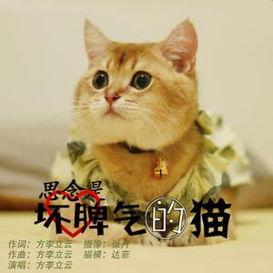 思念是坏脾气的猫