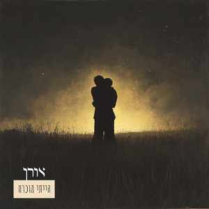 הייתי מוכרח