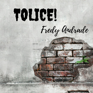 Tolice