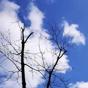 情歌肆意划破涟漪