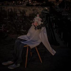 颓废生活的申请书