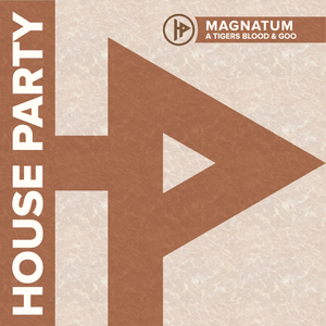 MAGNATUM (Original mix)