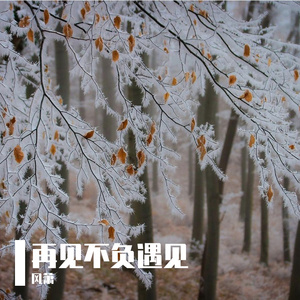 再见不负遇见