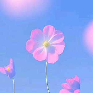 星汉未央 (西安)