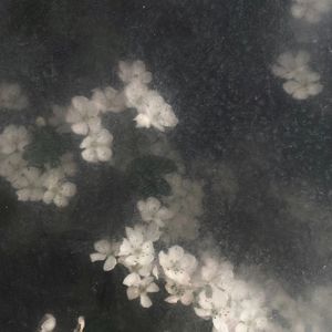 烬梦藏花
