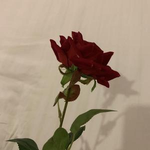 一日二人三餐四季demo