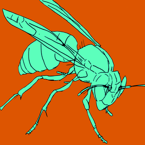 303 Methodes