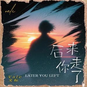 后来你走了