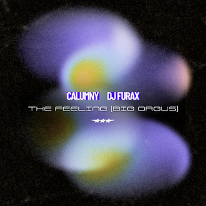The Feeling (Big Orgus)