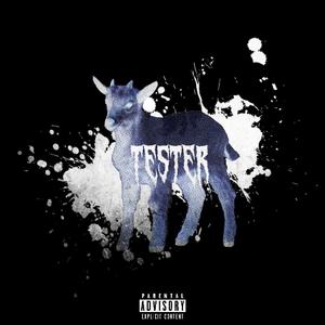 Tester