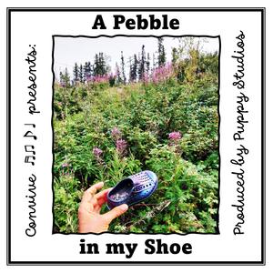 A Pebble in my Shoe