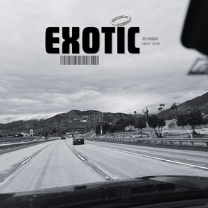 Exotic