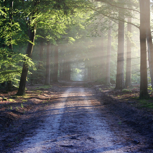 Musica Hipnotizante para Suspirar Fundo