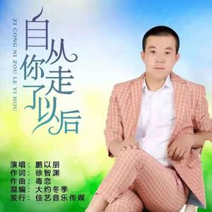 自从你走了以后