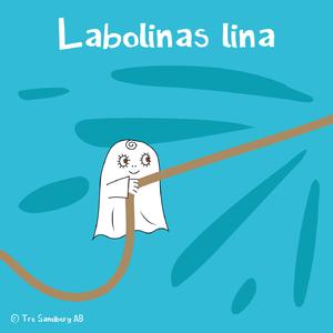 Labolinas lina, del 1