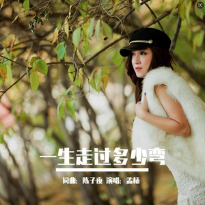 一生走过多少弯 (DJ阿阳版)