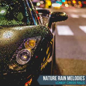 Intoxicating Moderate Rain on Leaves