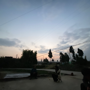 碎青春